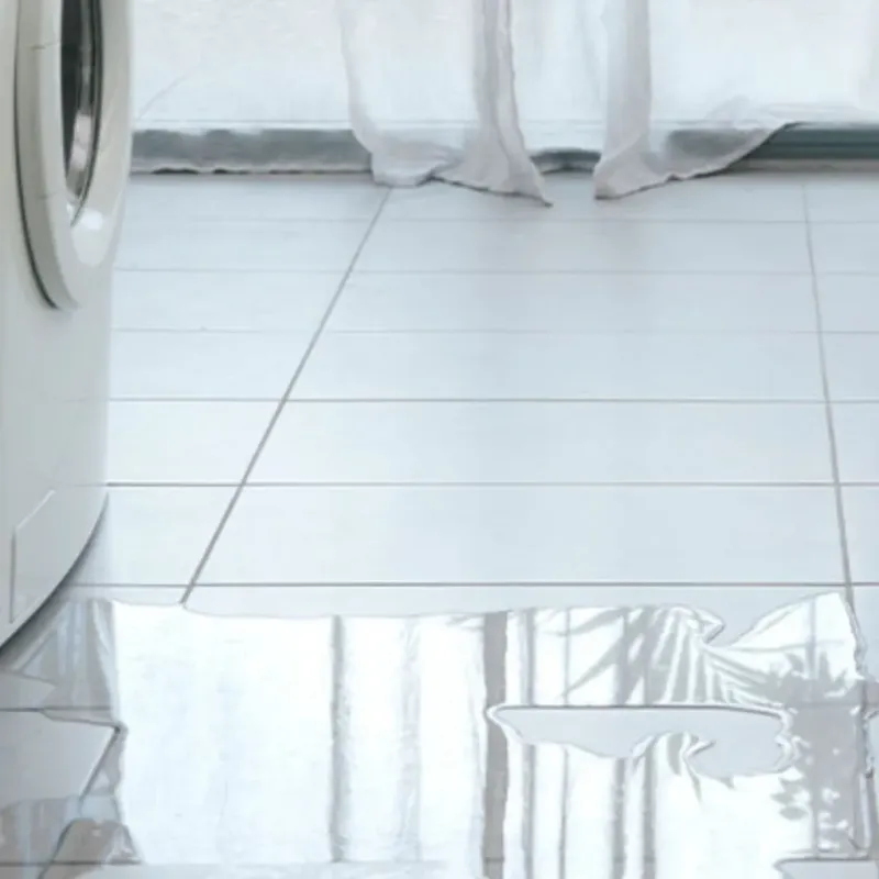 Appliance Leak Cleanup in Trenton, NC