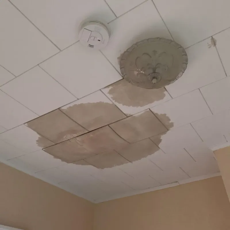 Ceiling Water Damage Repair in Trenton, NC