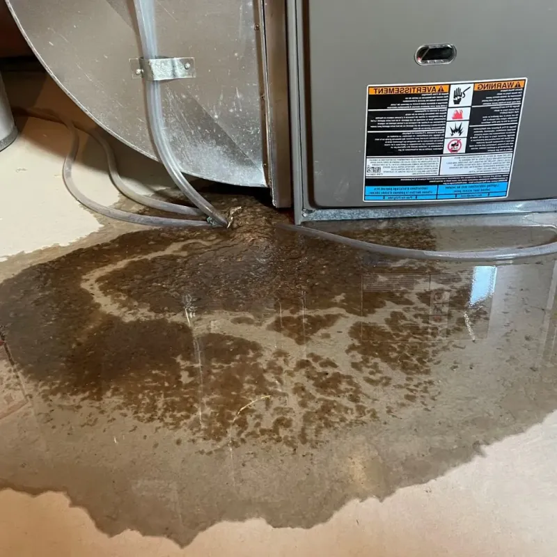 Pipe Burst and Leak Restoration in Trenton, NC