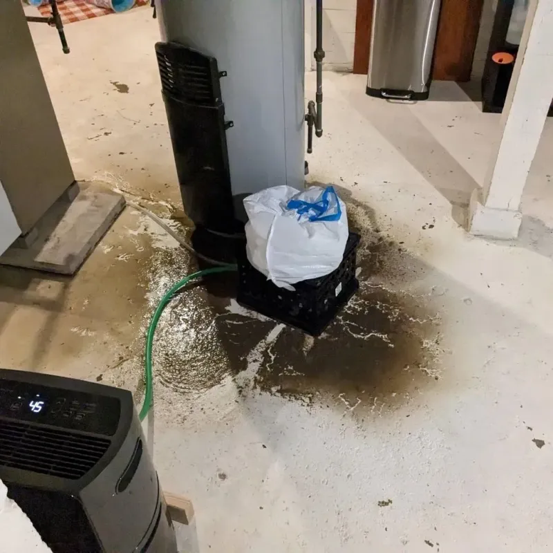 Sewage Backup Cleanup Service in Trenton, NC